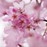 征途国际:国际人才流动与职业发展的新机遇 lp0j8