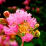 22. 深度评测top1体育下载的界面设计与用户体验 mpzdi4nu