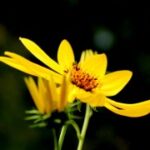 4. 深入解析top1体育下载的安全性与使用体验 n7aps05dv